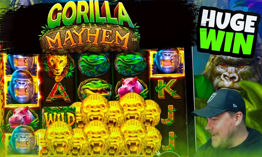 Gorilla Mayhem: Petualangan Liar dengan Hadiah Menggila